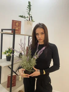 DovieWalth Public зображення 6