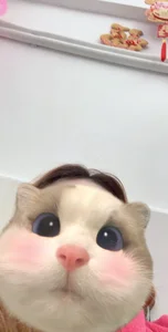 LuckyLin328 Public Pic 5