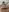 Layla & Kerri Nudes 👀