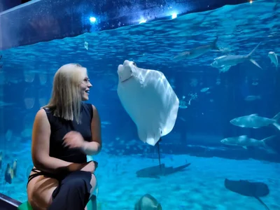 HotBrandyX Public รูป  5