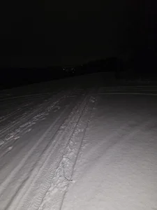 Gris-shadow Kuckt slika 5