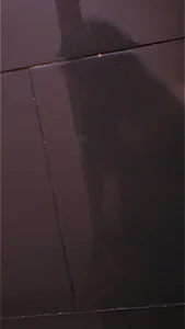 guy498 Public Εικόνα