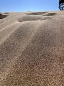 aGaGatha Public Immagine 