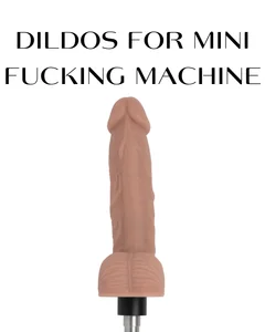 steacy_19 MY TOYS 사진