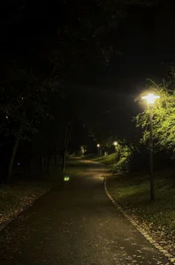 SonjaMonje Spring night Hình 5