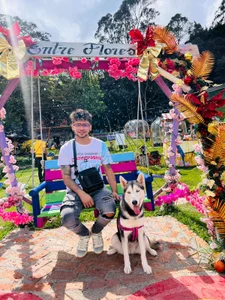 kenintorokenintoro1 Bild