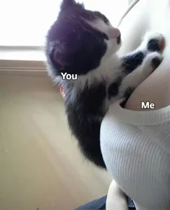 Nana_Chu omg🍑 Hình