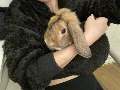 KirstenDanston Cake & Me Bilde 2