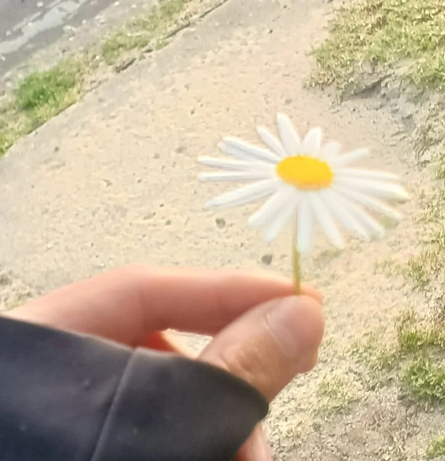 Трендове зображення  6531 MikeHunteer