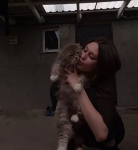 my cat od MercySoeder  snímek