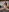 🤩 Quand Lana prend son pied en live 🤩