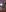 MichelleCara's photo