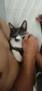 Eu od jamison7785  2 snímek