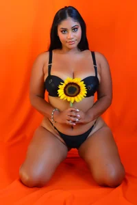 SSCARLETH_ SUNFLOWERS Εικόνα 8