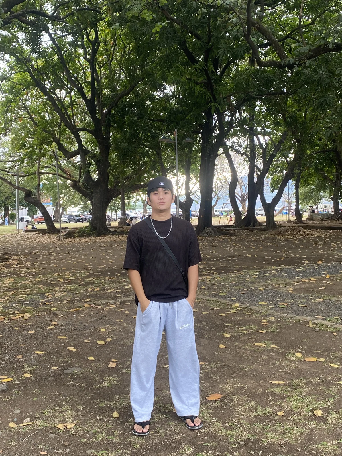 Dinosaur_Cock Poză populară 5782