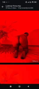 Public de LeilaTaylor  4 Imagens