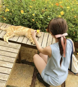 ---MIA---: Public ( 2 фото)