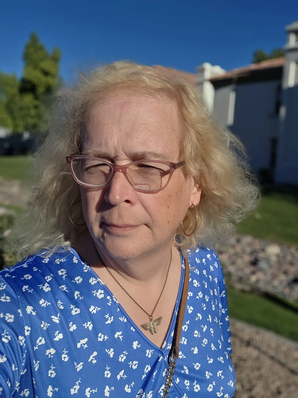 Трендове зображення  838 silverbanger3