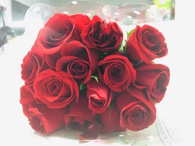 ambarEvans Hallowen¡ ♥ Gambar 2