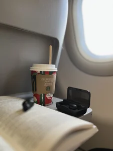 Sam_Sara Caribbean at Christmas 💚🥥 Pic 4