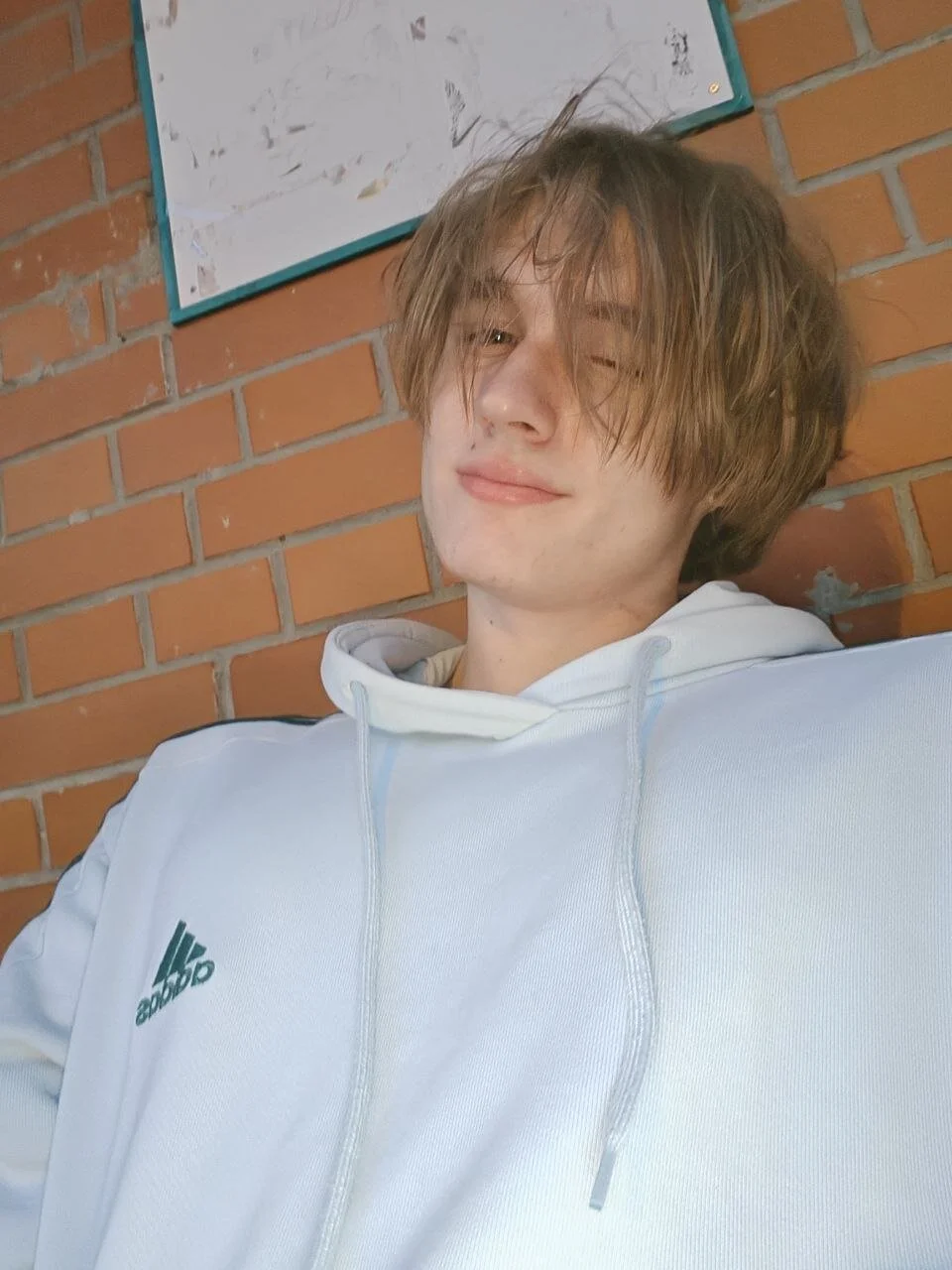 FinnBev Populært foto 2979