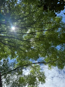 TomLondon_ Welcome to paradise... slika 3