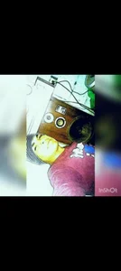 SpammedAztec kullanıcısının Public albümü -  3 fotoğraf