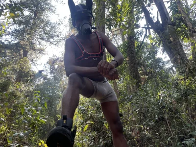 bigdanny_5 Your black wolf Foto 8