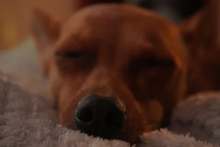 soidai_miiu A little bit of me ✨ 圖片