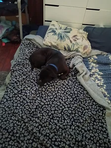 Public de Treemandude Foto 3