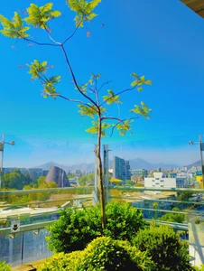 Zdjęcia nicocaceres95 Chile🇨🇱:  5