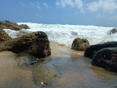 Tatted21xxx Marcha, 23 Foto 5