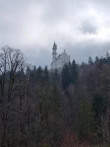 schlecker66 Public Poză 3