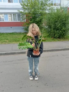 VanettaGattuso Public  5. fénykép