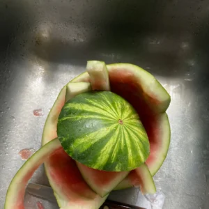 JezOne555 Public Pic 9