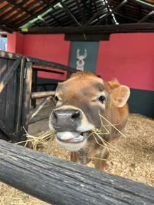 marthina_thompsson When Marthina is offline. 🥰 사진 2