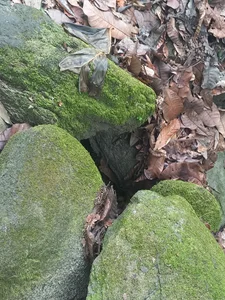 NayadeWelcome图片 3