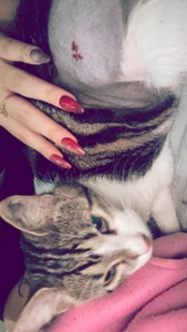 ailen-wood's photo