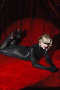 LauraWifenessBrochure for the show "Nylon Shadow Theater"图片 3