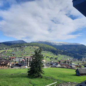 Cute_Smile_Shy Public Hình