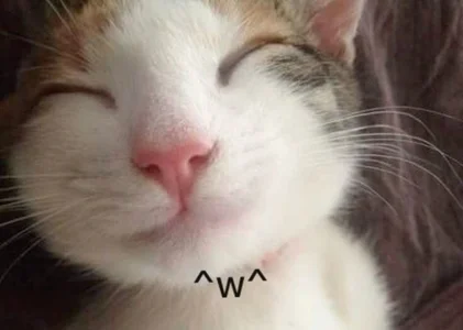 Public od sullimi  snímek