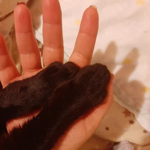 Twilight_Anna Public Pic 2