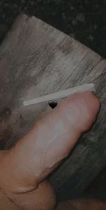 utoopia777 Public Immagine  3