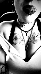 Harleesinn Public Immagine  6