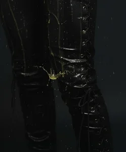 LyleBennett_ Wet leather Hình 2