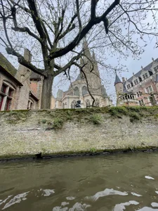 Alma- 🇧🇪 Pic 5