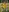 persibal_redhead's photo