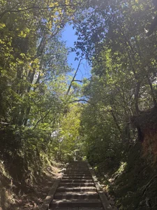 iru_hcup Public Εικόνα 4