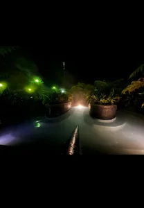 Felicity_Hops ⛰️ Billede