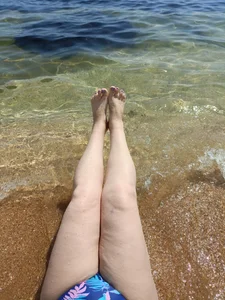 StelladivafoxのStellaの 4枚の写真